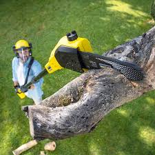 Pest Control for Lawns in Raymond, IL
